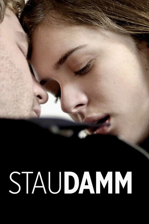 Staudamm (2014) poster