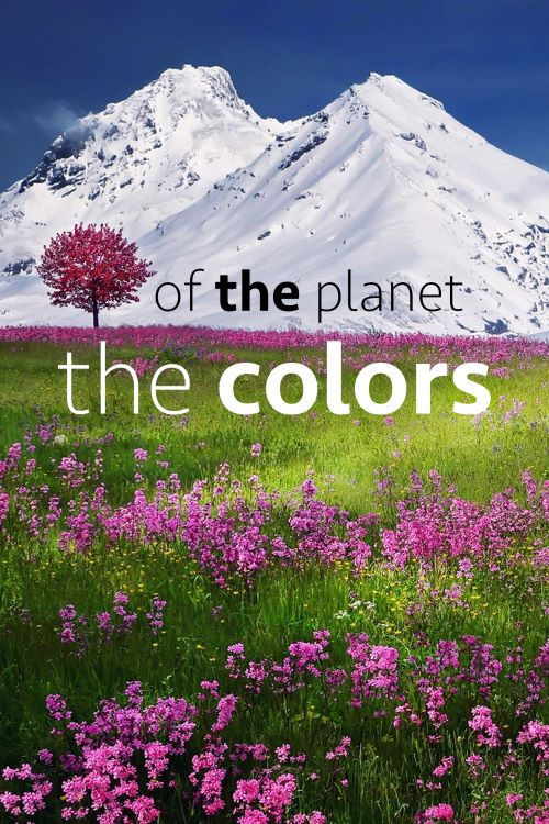 The Colors of the Planet (2020) poster