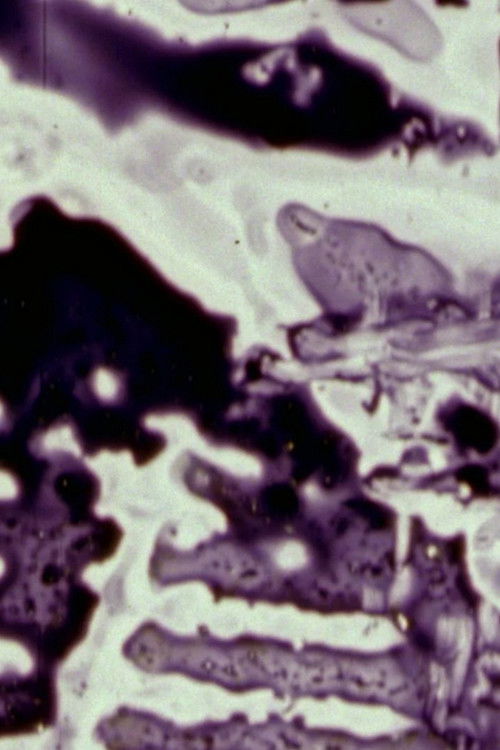 Skinflick (2002) poster