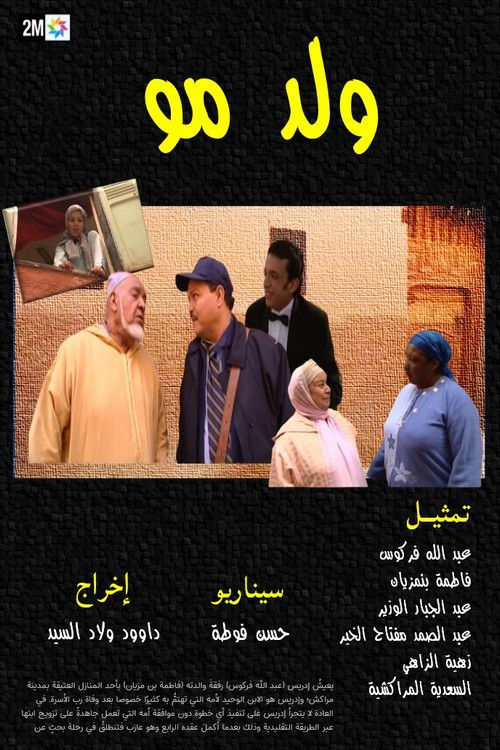 His Mother's Son (2009) poster