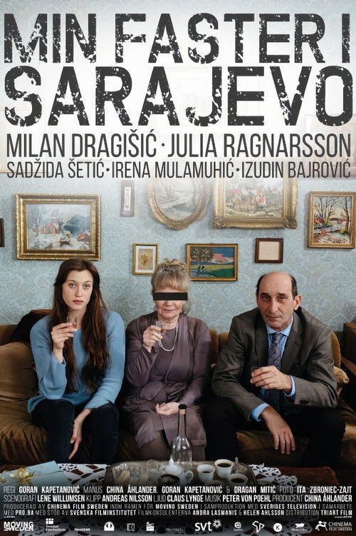 My Aunt in Sarajevo (2016) poster