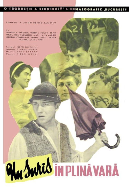 A Midsummer Day's Smile (1963) poster