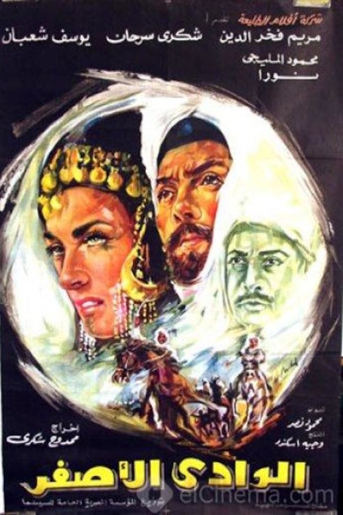 الوادى الأصفر (1970) poster