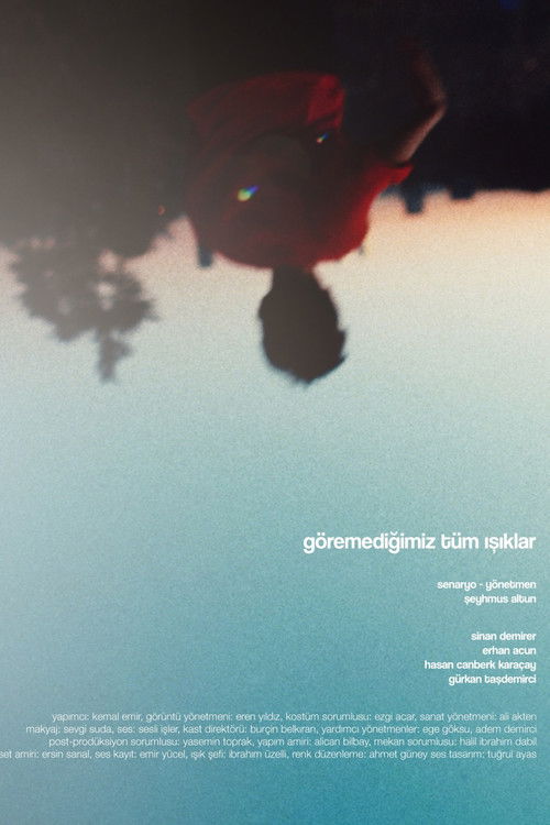 All the Light We Cannot See (2020) poster