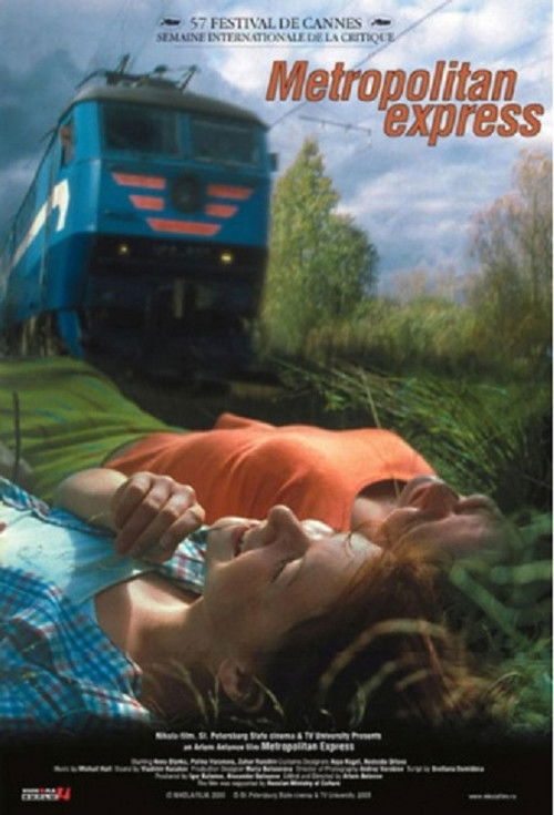 Metropolitan Express (2003) poster