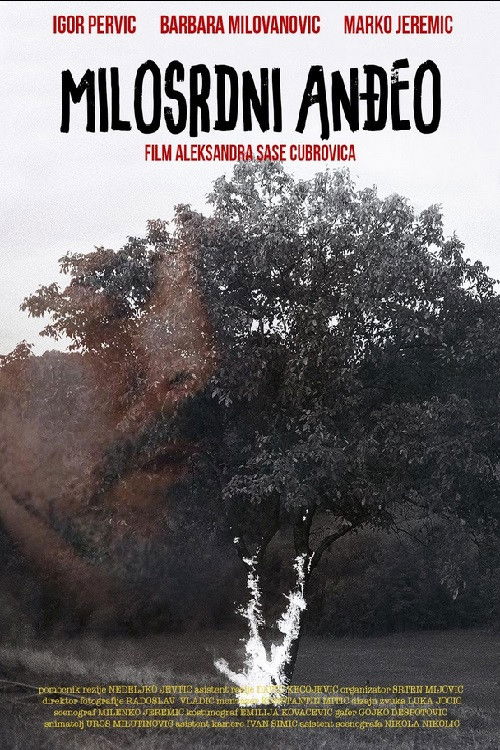 Merciful Angel (2013) poster