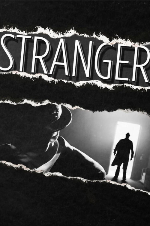 Stranger (2013) poster