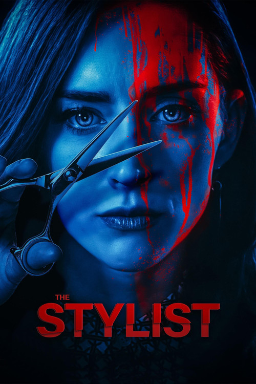 The Stylist (2020) poster