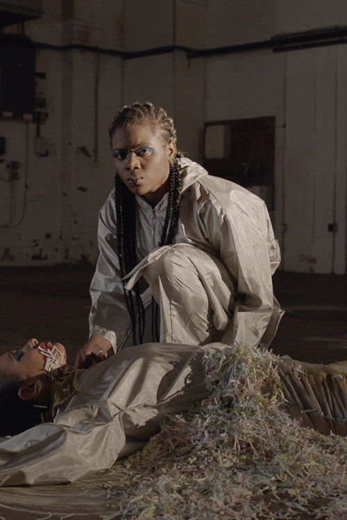 Beast Type Song (2020) poster