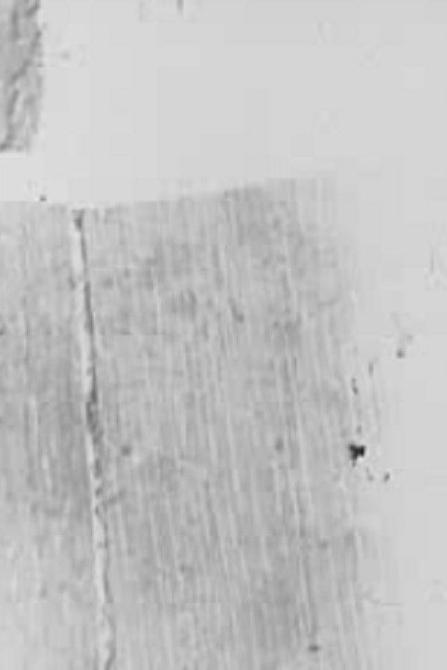 In/Side/Out I (1982) poster