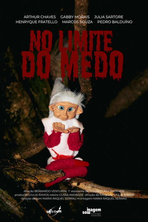 No Limite Do Medo (2025) poster