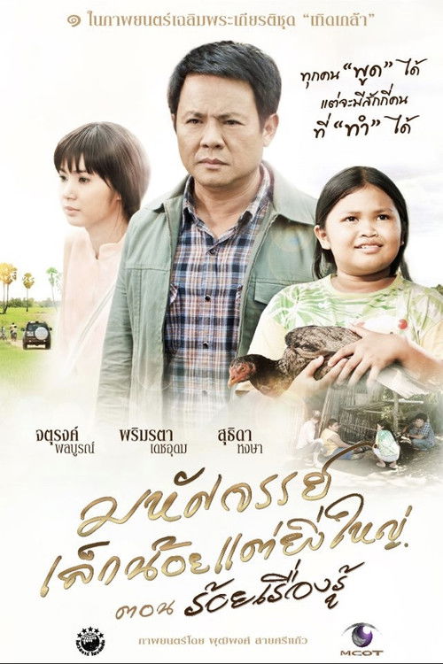 The Greatness of a Little Miracle (2012) poster