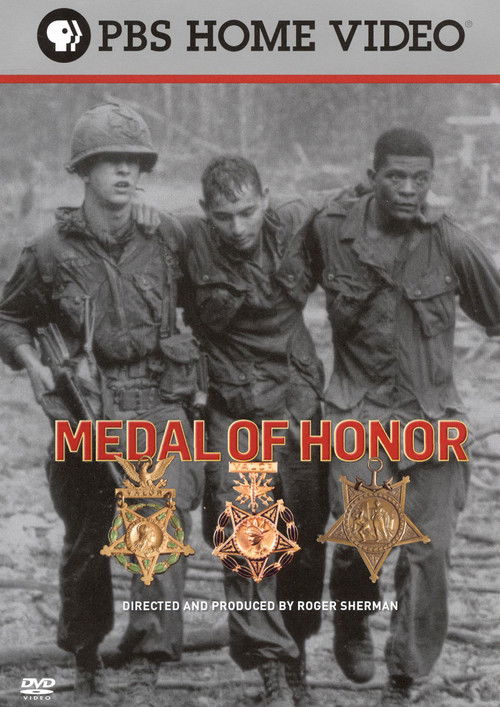 Medal of Honor (2008) poster