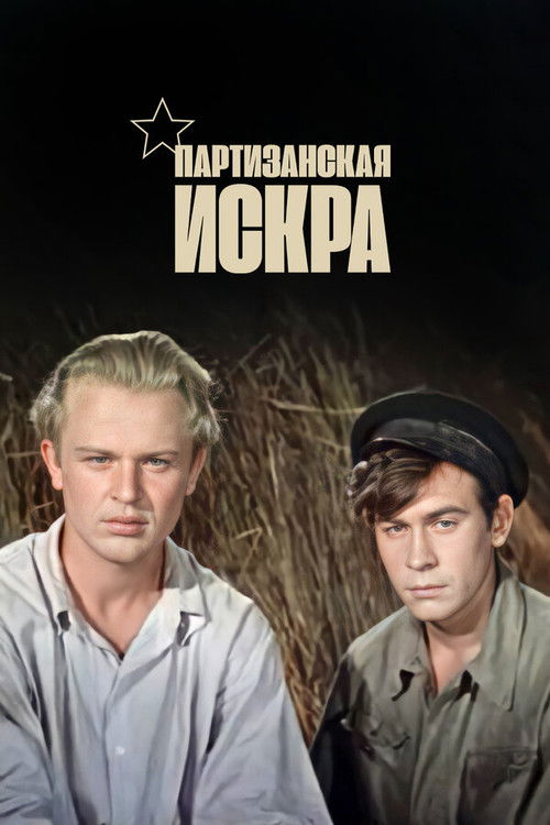 Партизанская искра (1957) poster
