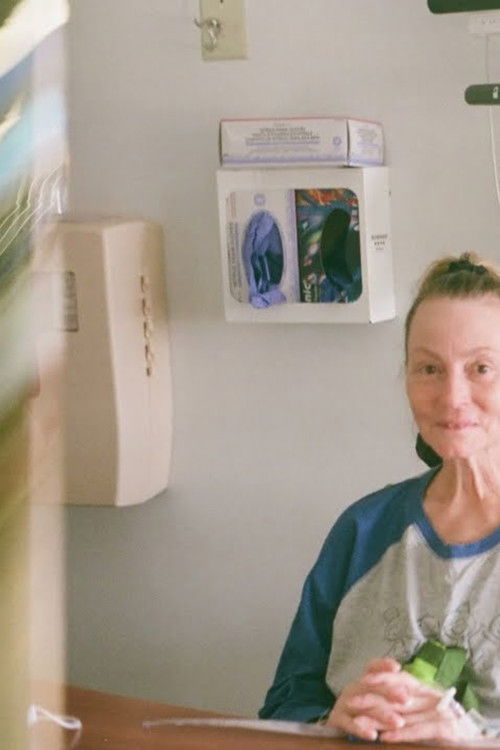 Welcome Home (2024) poster