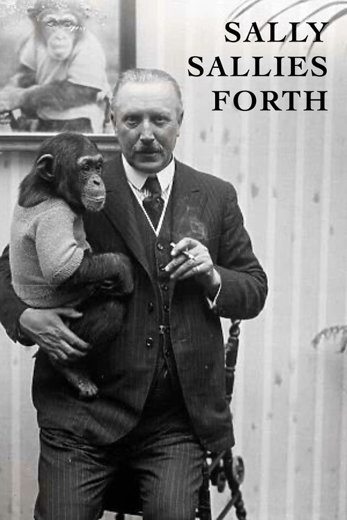 Sally Sallies Forth (1933) poster