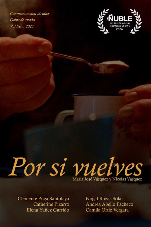 Por si vuelves... (2024) poster