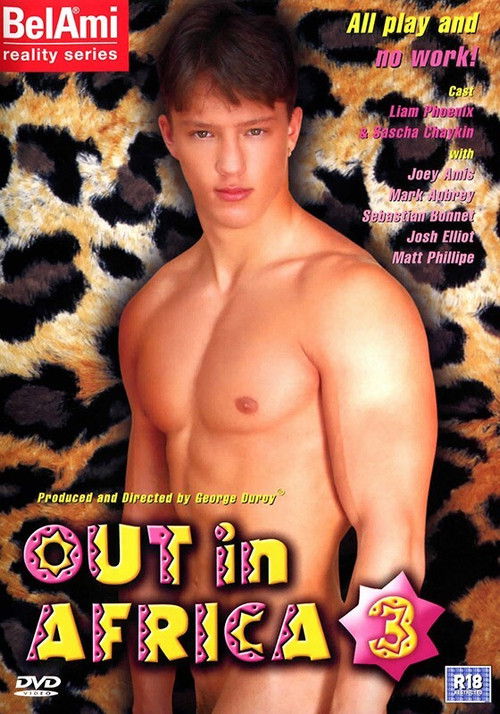 Out in Africa 3 (2006) poster
