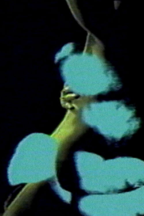 Lettre à un amant (1988) poster