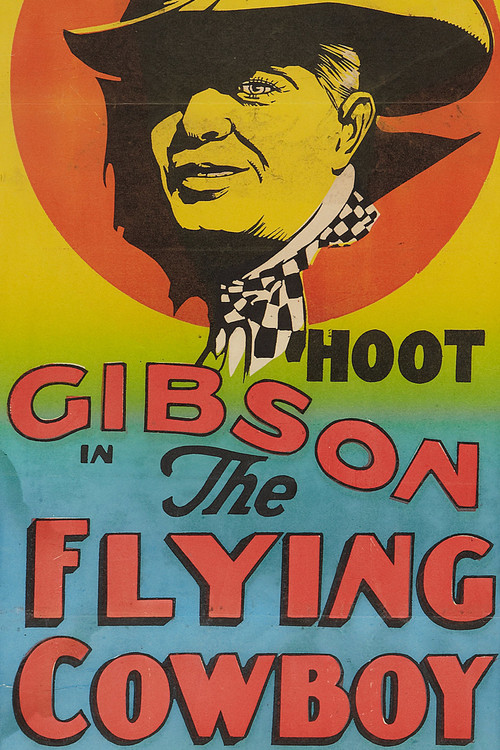 The Flyin' Cowboy (1928) poster