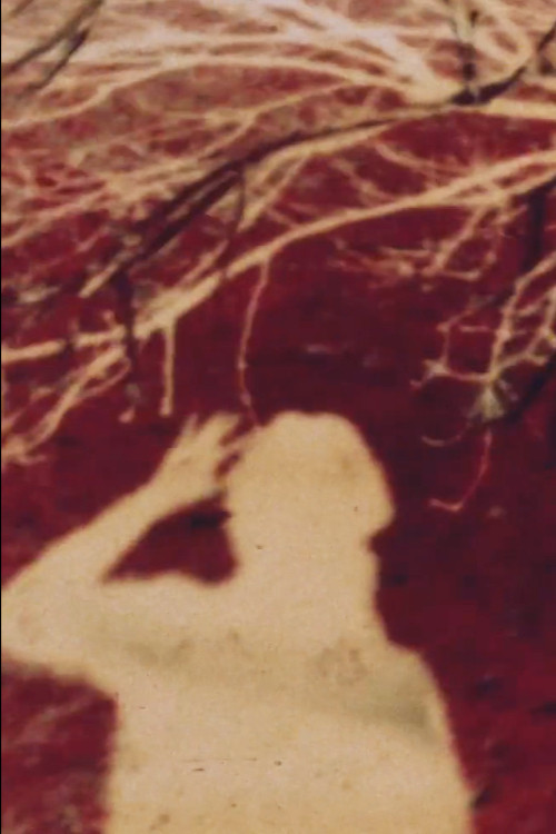 Walk (1980) poster