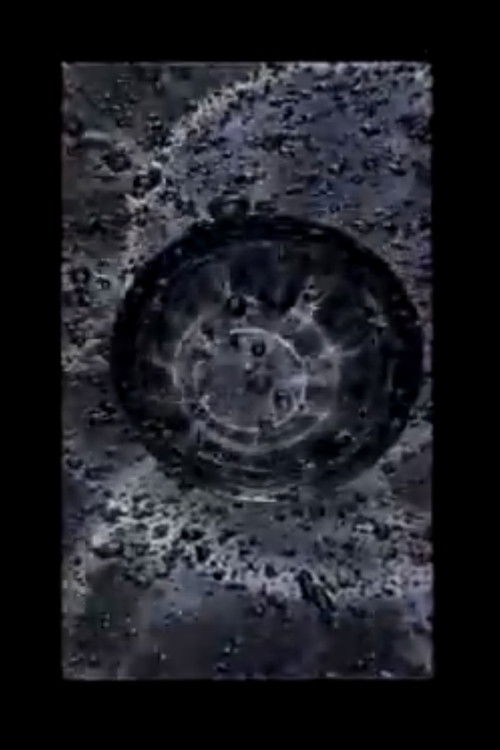 History of One Disease (2007) poster