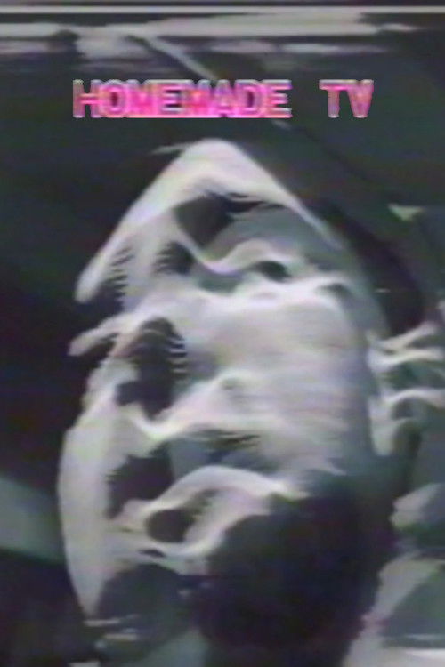 Homemade TV: Vasulkas II (1975) poster
