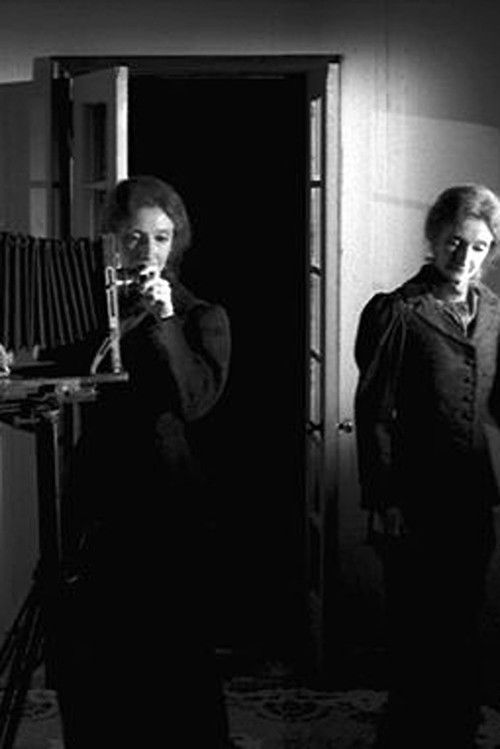 The Multiple Selves of Hannah Maynard (2004) poster