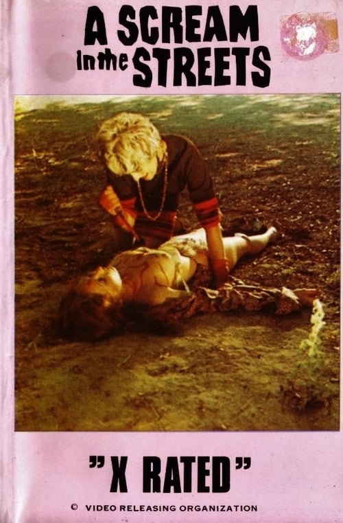 A Scream in the Streets (1973) poster