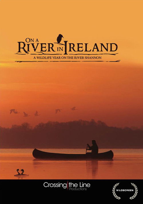On a River in Ireland (2013) poster