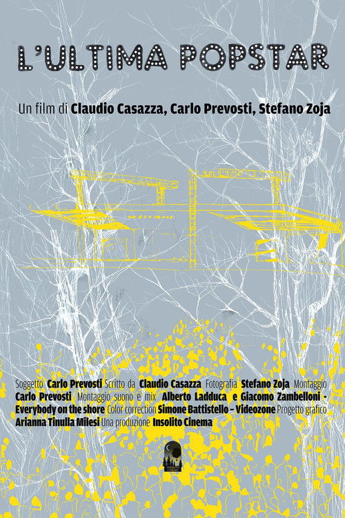 The Last Popstar (2017) poster