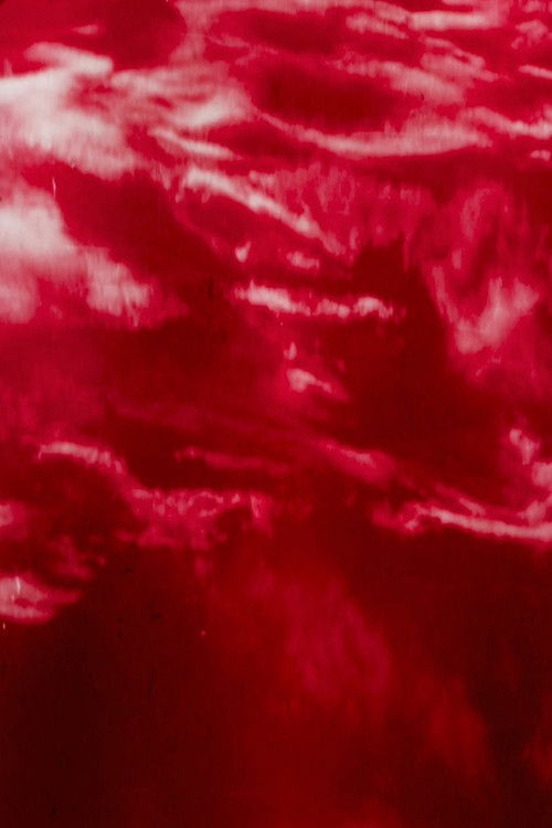 Chameleon Law (2022) poster