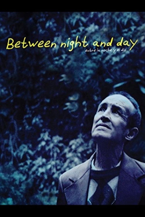 Between Night and Day (2013) poster