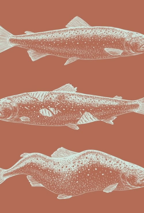 Laxaþjóð - A Salmon Nation (2024) poster