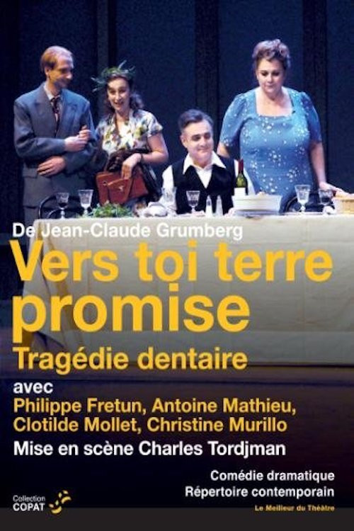 Vers toi terre promise (2010) poster