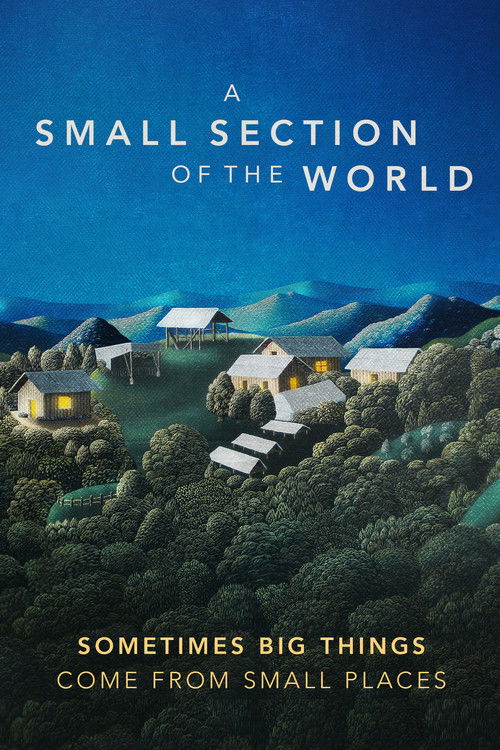 A Small Section of the World (2014) poster