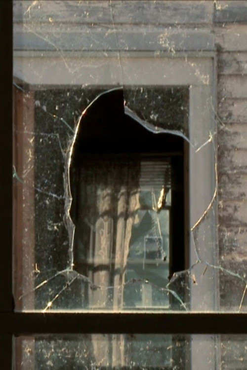 The Lower 9: A Story of Home (Short Version) (2012) poster