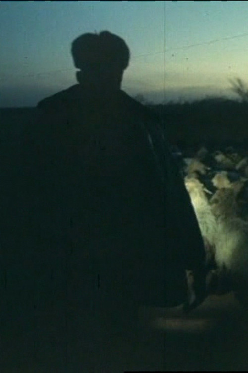 Black Ashes (1997) poster