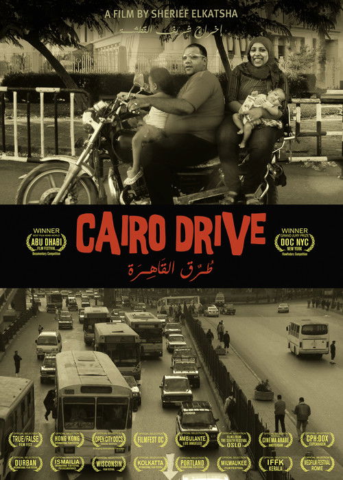 Cairo Drive (2013) poster