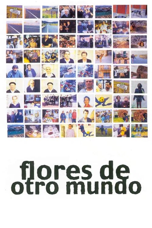 Flowers From Another World (1999) poster