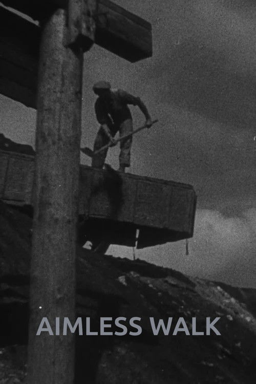 Bezúčelná procházka (1930) poster