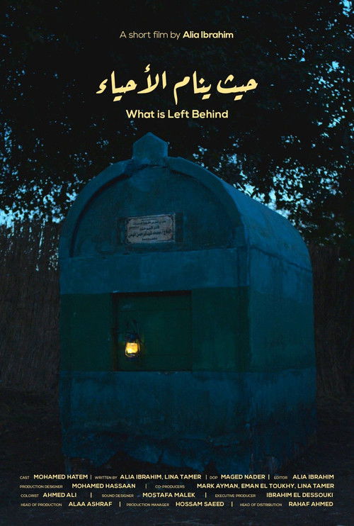 What is Left Behind (2024) poster