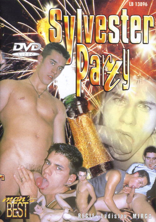 Sylvester Party (2004) poster