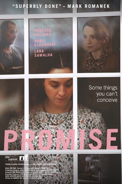 Promise (2017) poster