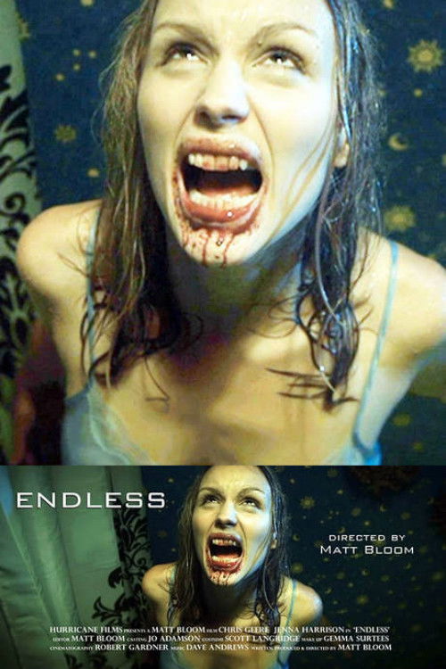 Endless (2011) poster