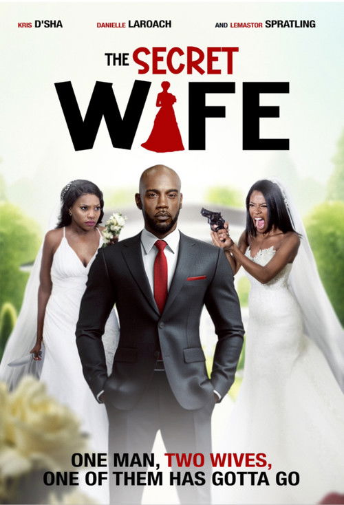 The Secret Wife poster