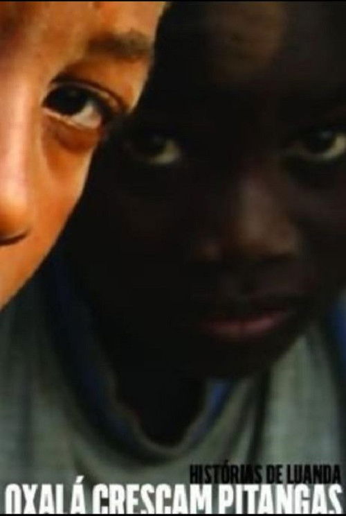 Tales of Luanda: Hope the Pitanga Cherries Grow (2007) poster