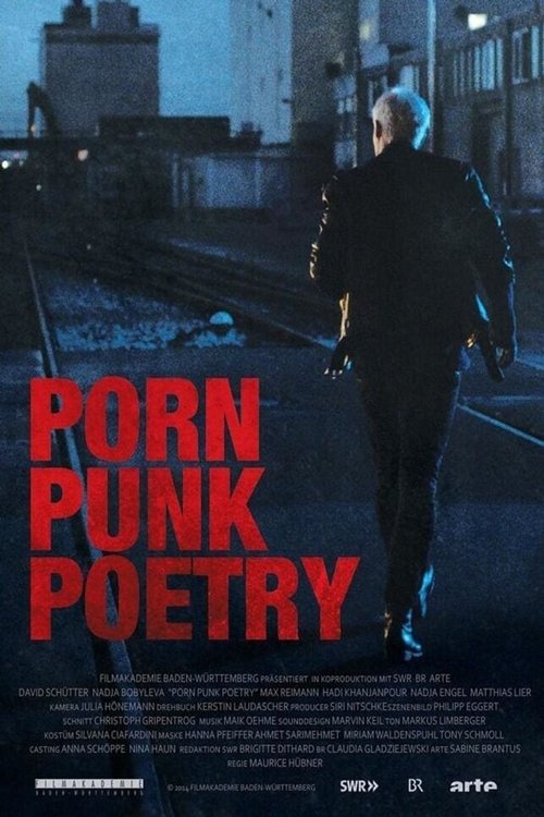Porn Punk Poetry (2014) poster