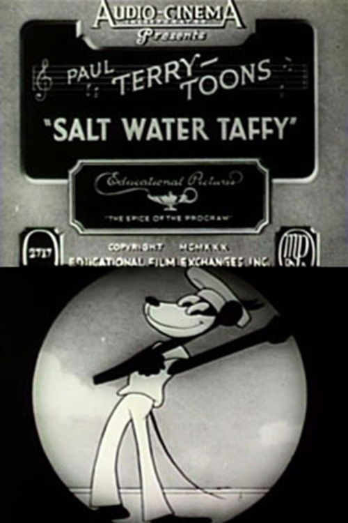 Salt Water Taffy (1930) poster