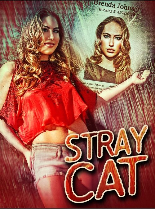 Stray Cat (2023) poster